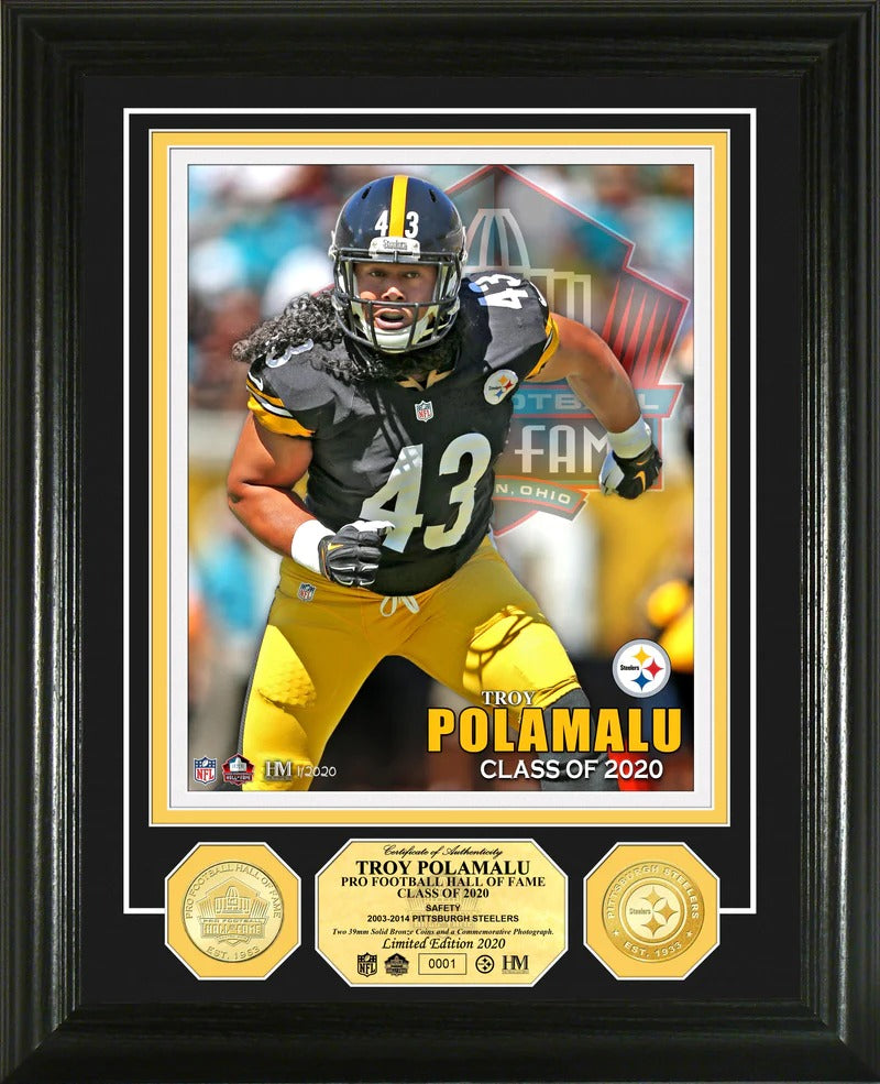 Cuadro Hof Induction Steelers Troy Polamalu