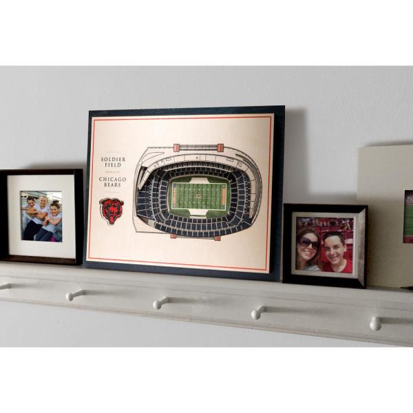 Cuadro 3D Stadium View Bears