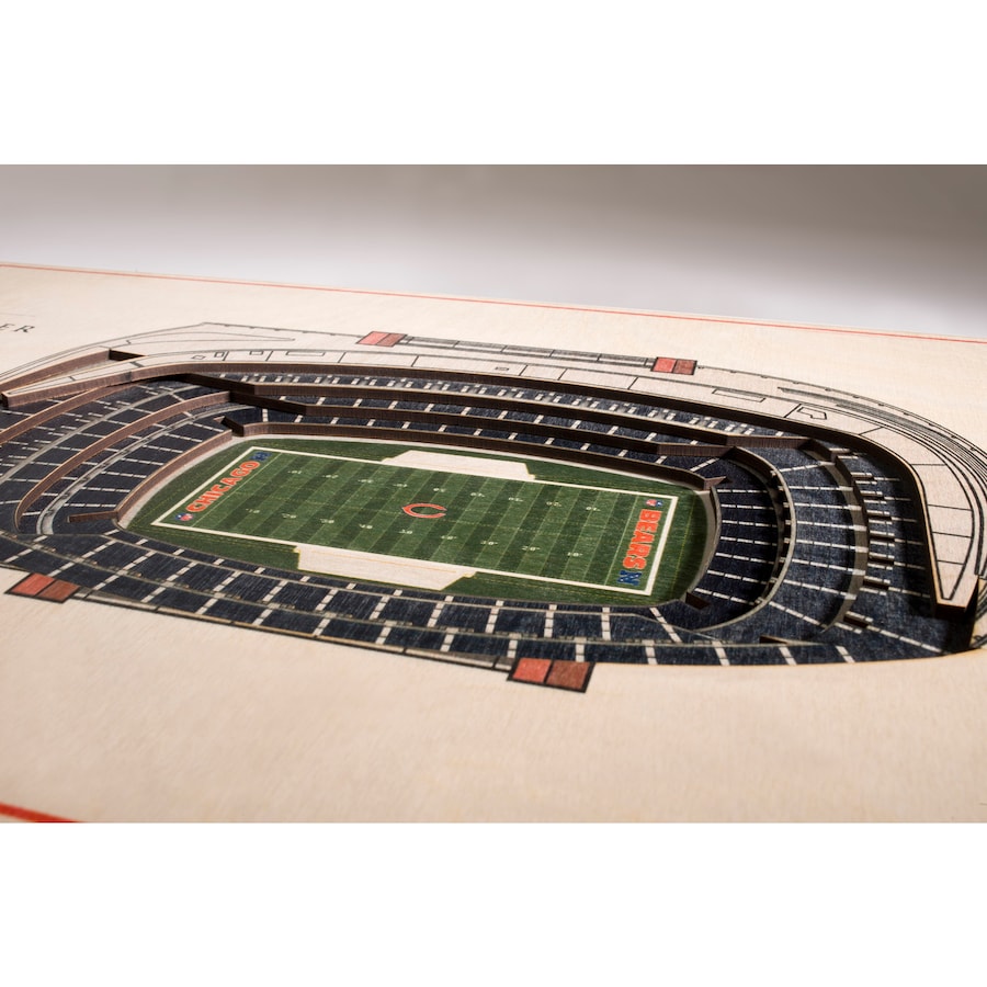 Cuadro 3D Stadium View Bears