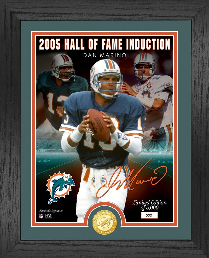 Cuadro Hof Induction Dolphins Dan Marino - NERIAS DEPORTES