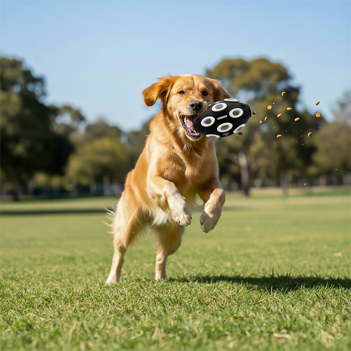 Juguete Mascota NFL 26 Pelota Dispensadora Anémona Las Vegas Raiders