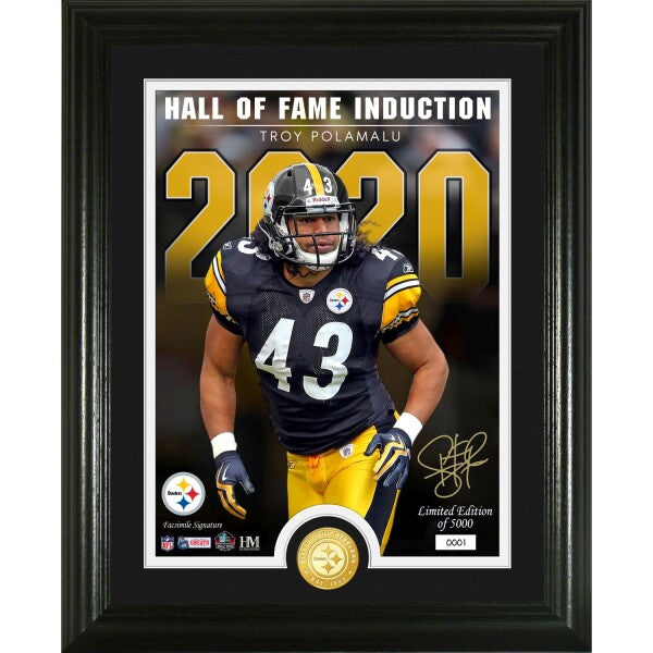 Cuadro Hall Of Fame Induction Steelers Troy Polamalu