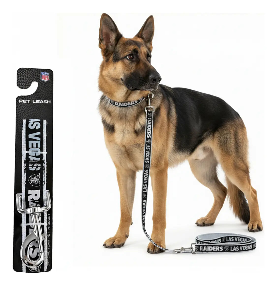 Correa Para Mascota NFL 26 Las Vegas Raiders