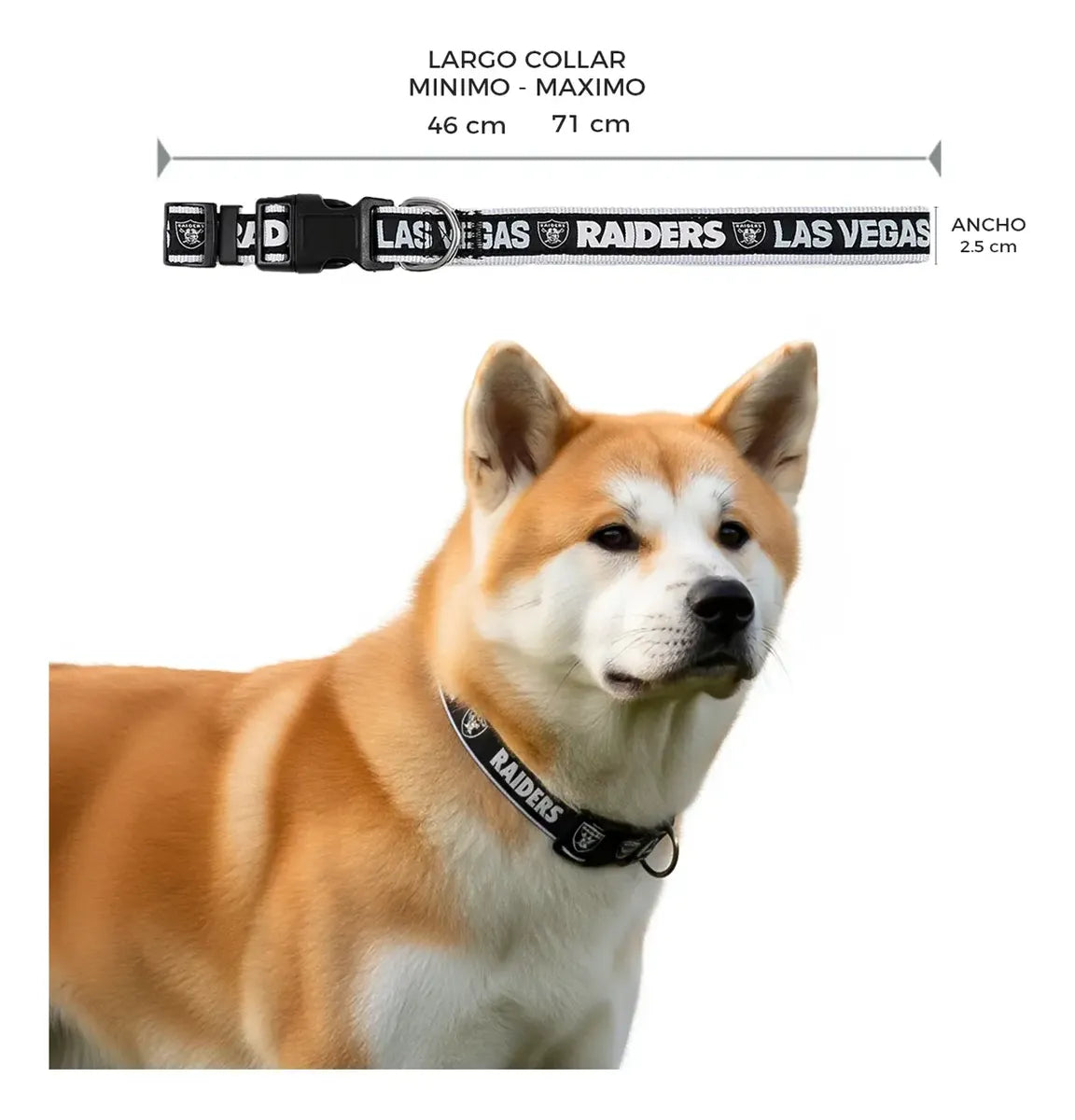 Collar Para Mascota NFL 26 Las Vegas Raiders