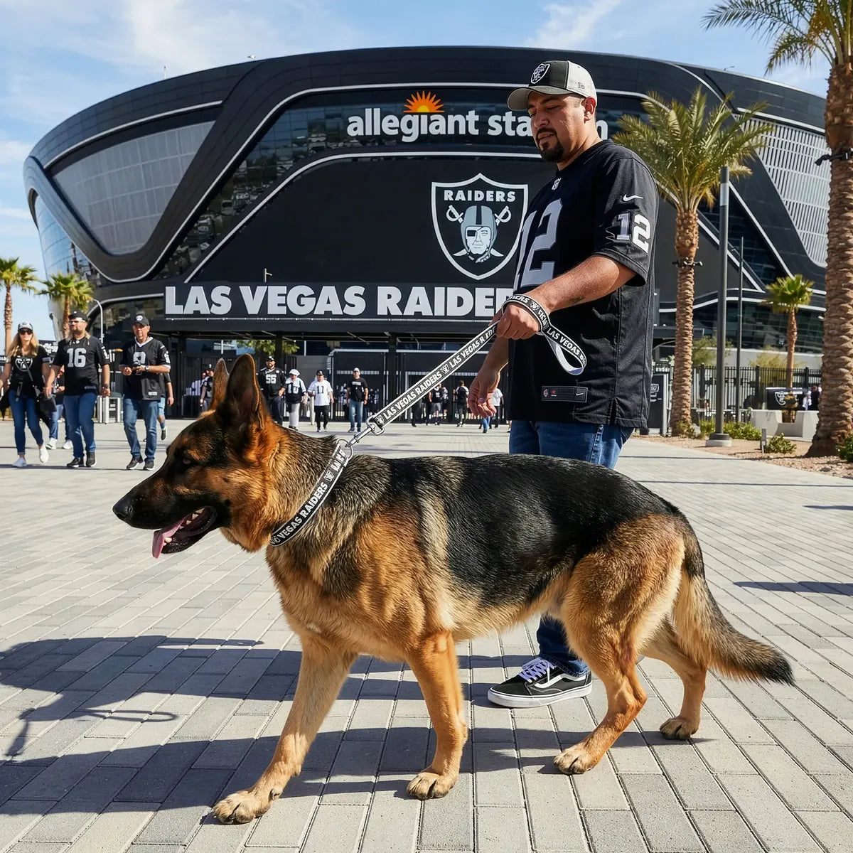 Correa Para Mascota NFL 26 Las Vegas Raiders