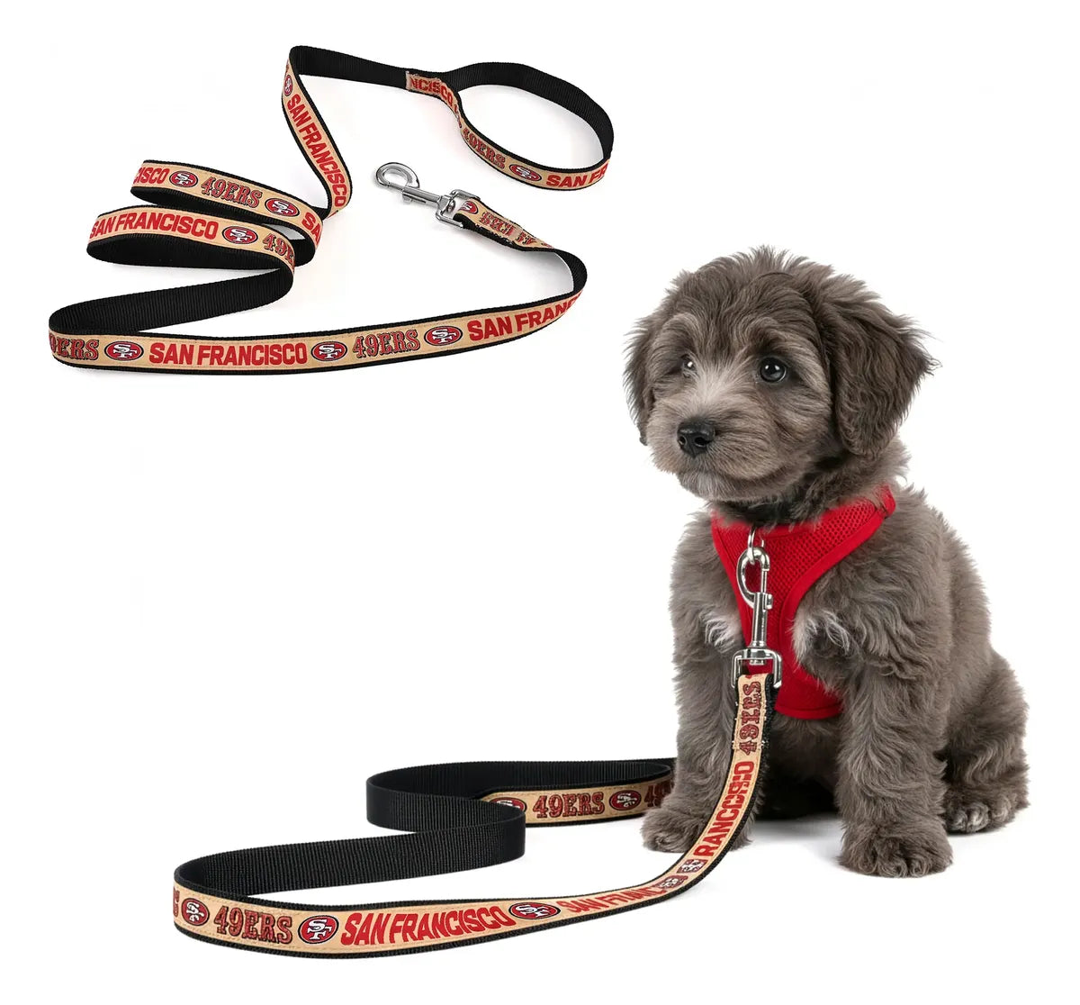 Correa Para Mascota NFL 26 San Francisco 49ers