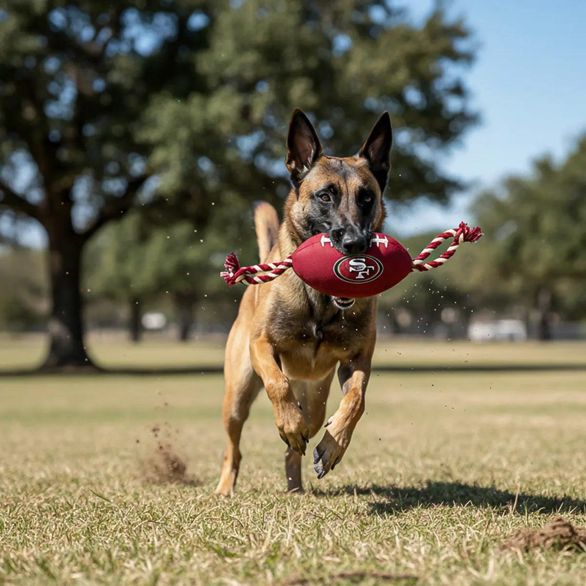 Juguete Mascota NFL 26 Balón Cuerdas San Francisco 49ers