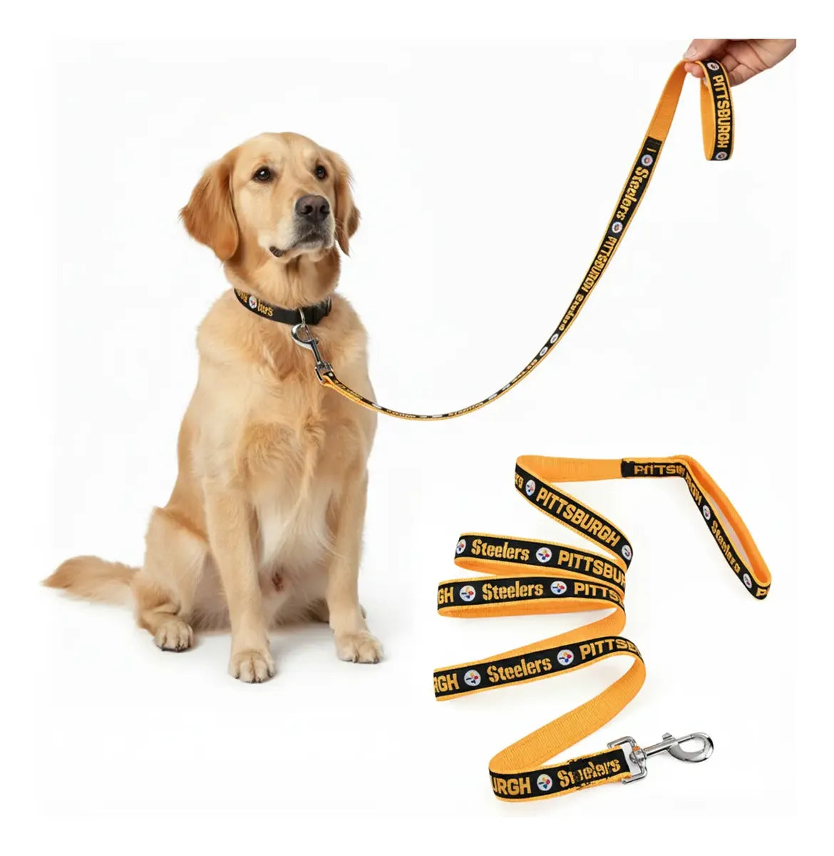 Correa Para Mascota NFL 26 Pittsburgh Steelers