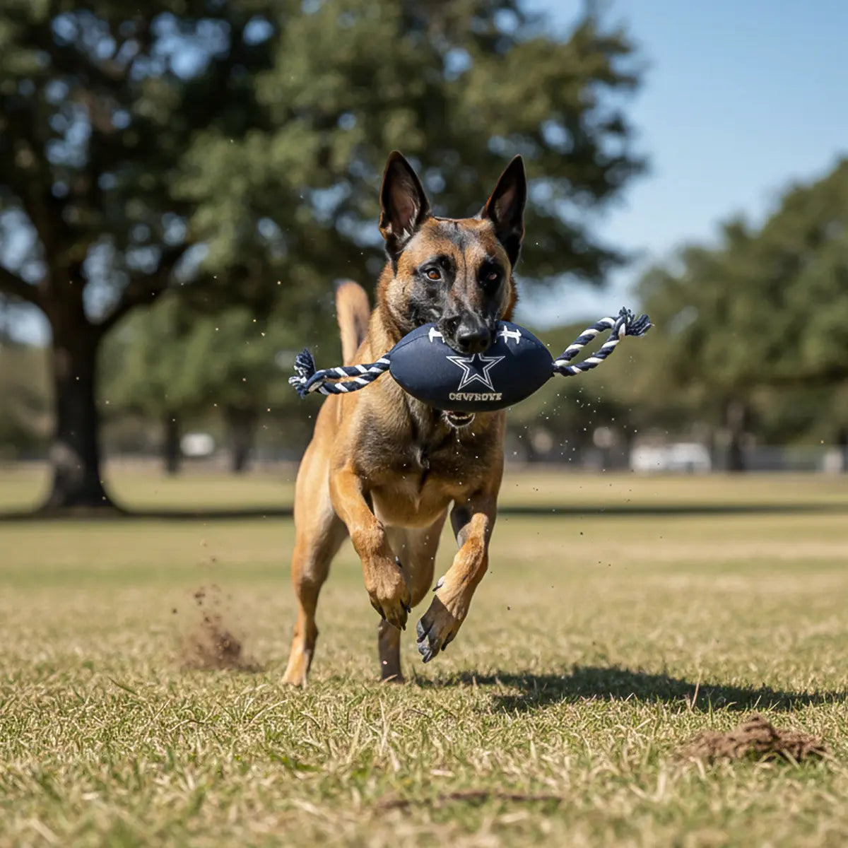 Juguete Mascota NFL 26 Balón Cuerdas Dallas Cowboys