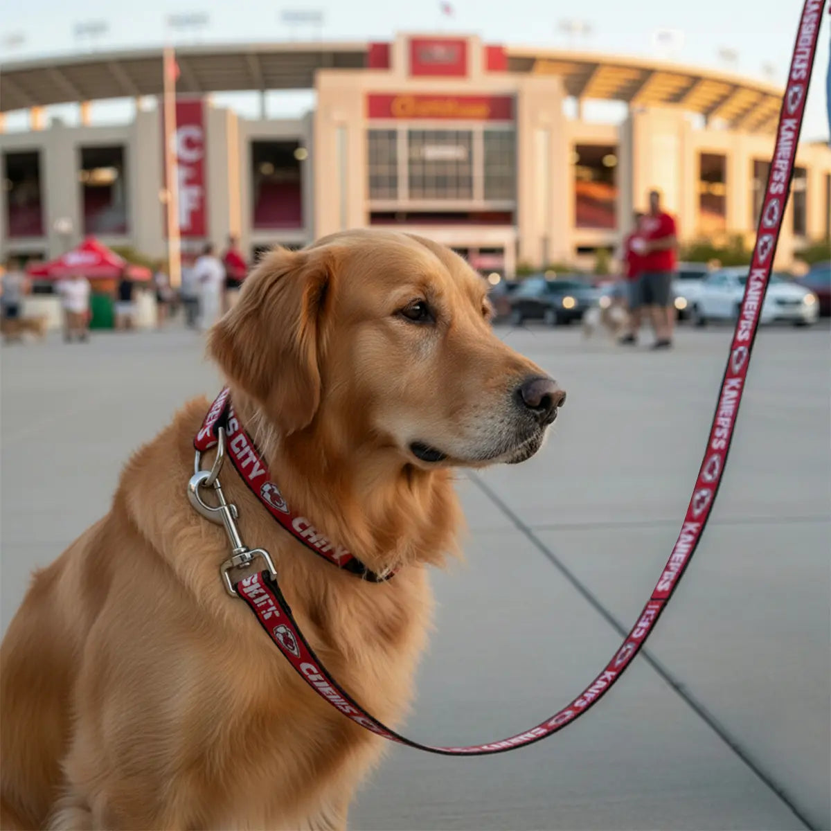 Correa Para Mascota NFL 26 Kansas City Chiefs