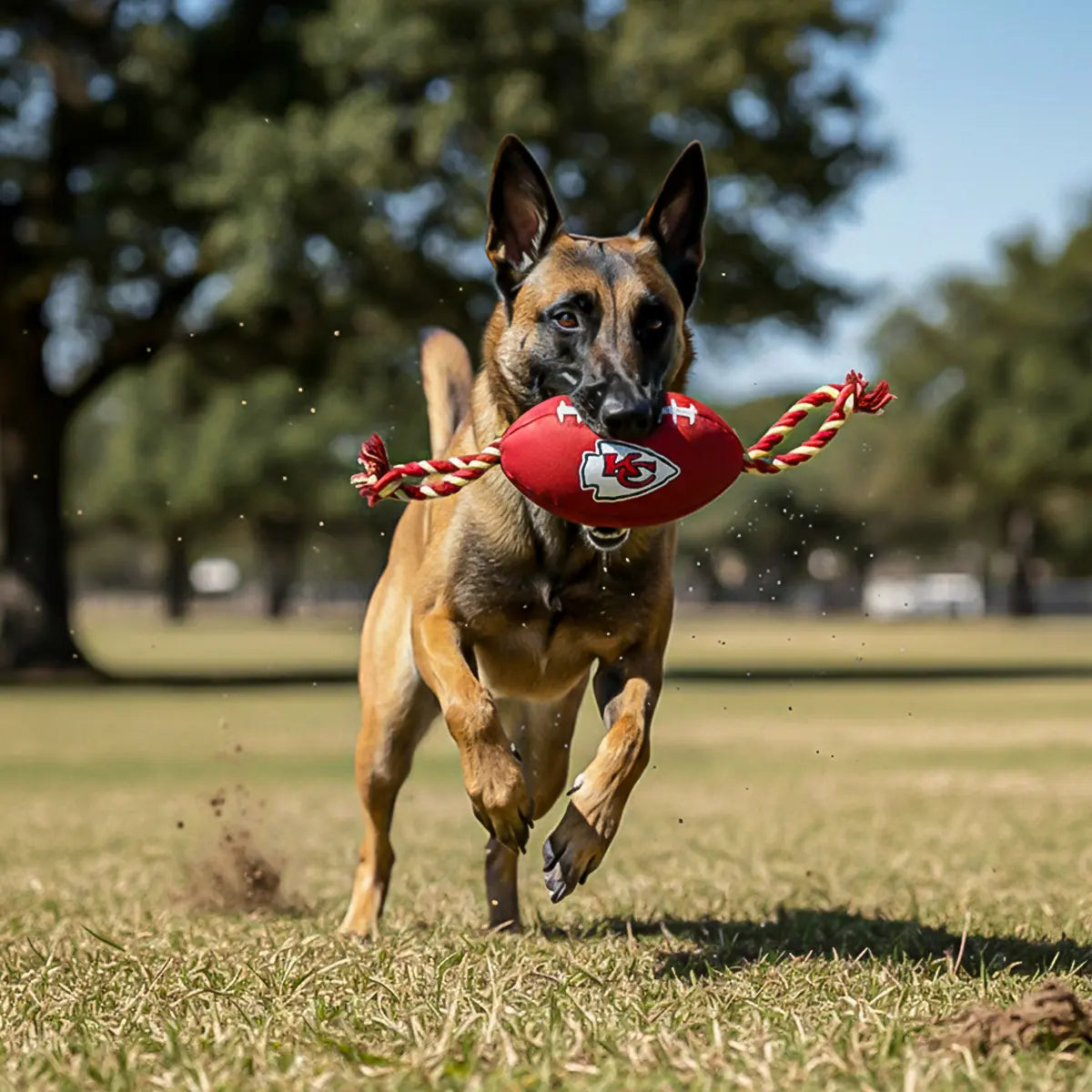 Juguete Mascota NFL 26 Balón Cuerdas Kansas City Chiefs