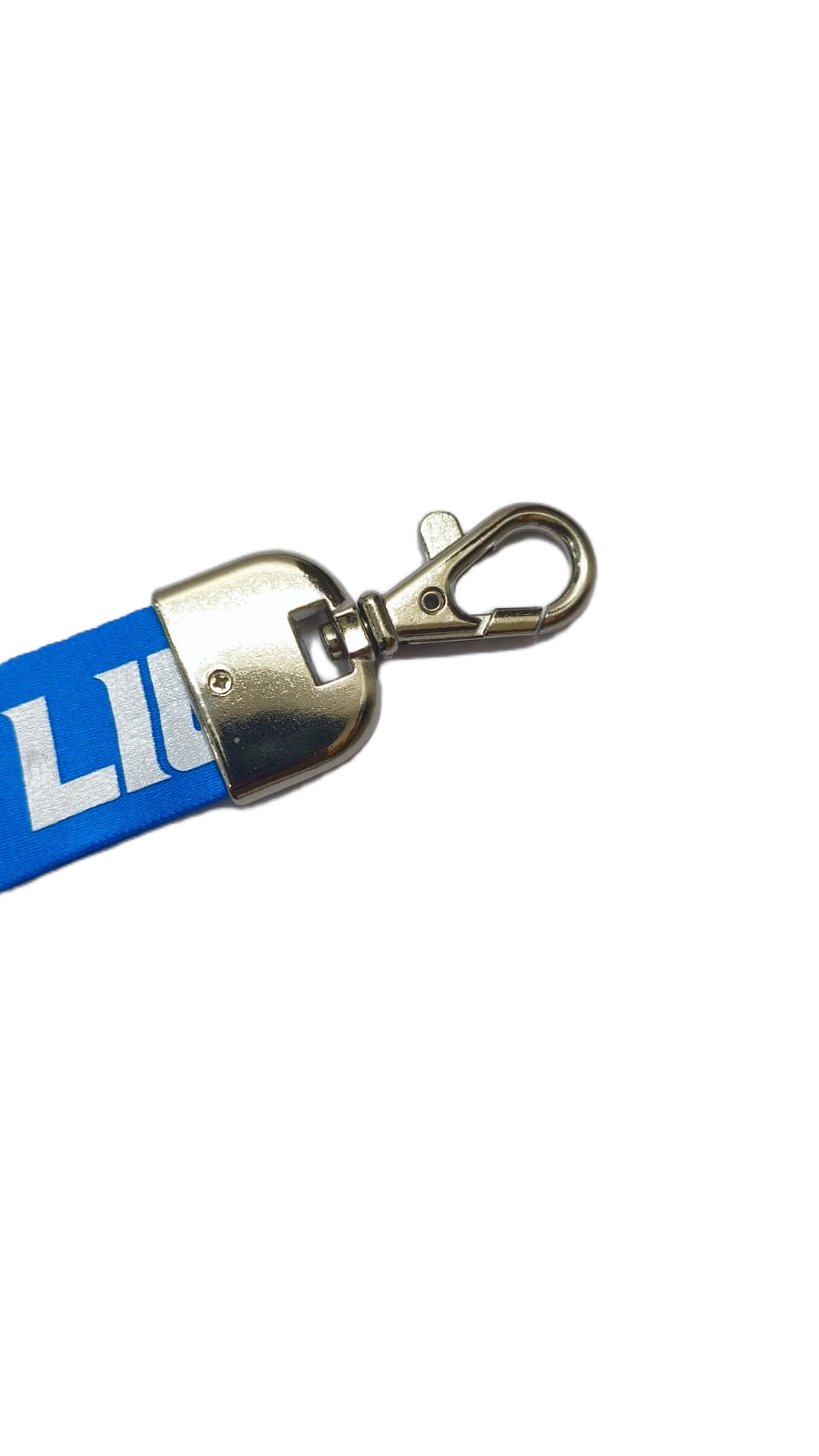 Llavero Lanyard Team Mojo NFL Detroit Lions