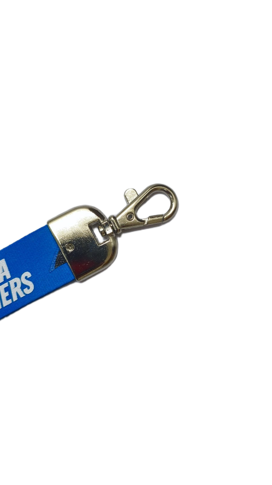 Llavero Lanyard Team Mojo NFL Carolina Panthers