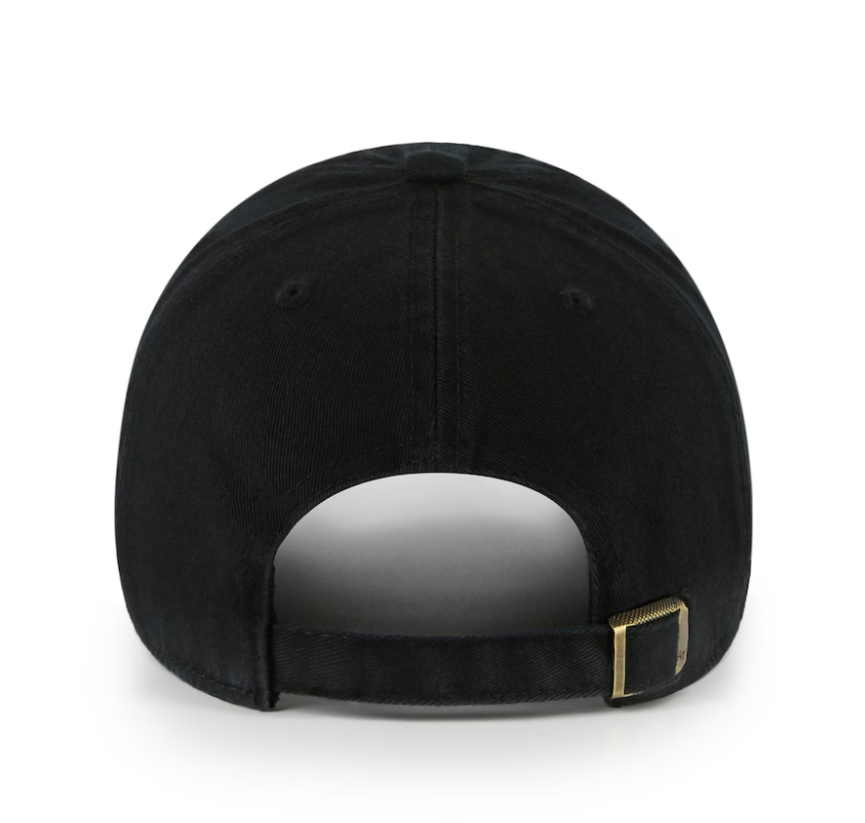 Gorra 47 25 Clean UP Ariana Pittsburgh Steelers