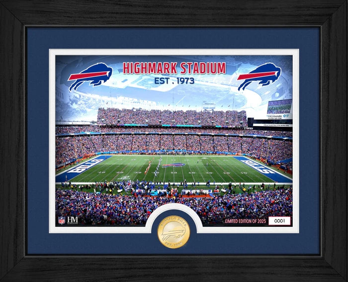 Cuadro HM Bronze Coin Bills Farewell To Highmark Stadium