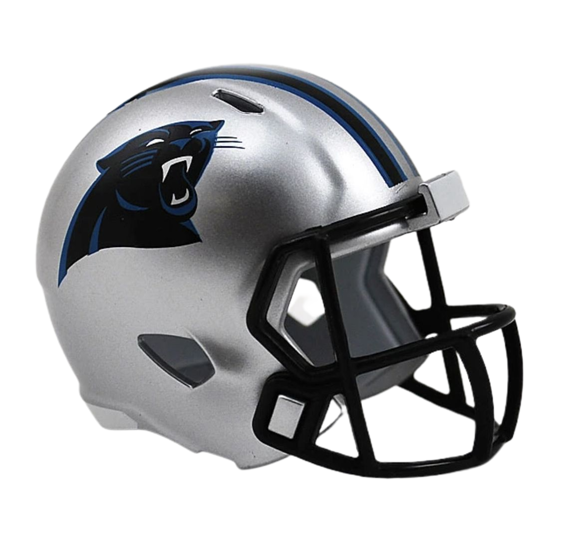 Casco Riddell Pocket Speed Panthers