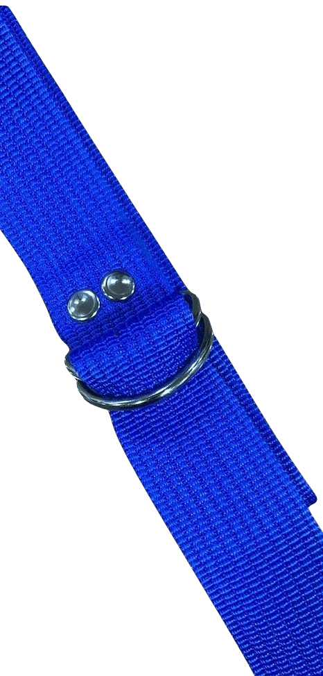 Cinturón Funda Nerias
